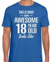 Awesome 18 year verjaardag cadeau t-shirt blauw voor heren kopen