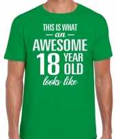 Awesome 18 year verjaardag cadeau t-shirt groen voor heren kopen