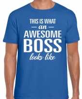 Awesome boss fun t-shirt blauw voor heren kopen