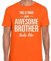 Awesome brother fun t-shirt oranje voor heren kopen