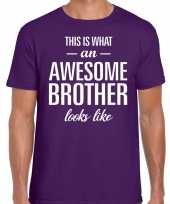 Awesome brother fun t-shirt paars voor heren kopen