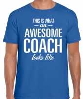 Awesome coach cadeau t-shirt blauw voor heren kopen