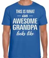 Awesome grandpa opa cadeau t-shirt blauw voor heren kopen