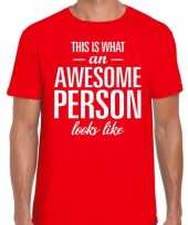 Awesome person fun t-shirt rood voor heren kopen