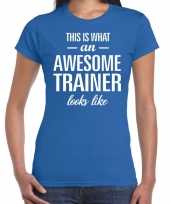 Awesome trainer kado t-shirt blauw voor dames kopen