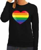 Gay pride regenboog hart sweater zwart dames kopen