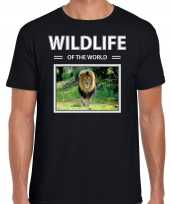 Leeuw foto t-shirt zwart voor heren wildlife of the world cadeau shirt leeuwen liefhebber kopen
