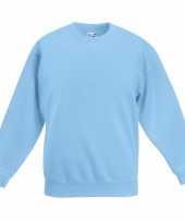 Lichtblauw katoenen sweater zonder capuchon voor jongens kopen