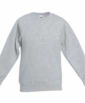 Lichtgrijs katoenen sweater zonder capuchon voor jongens kopen
