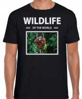 Orang oetan aap foto t-shirt zwart voor heren wildlife of the world cadeau shirt orang oetans liefhebber kopen
