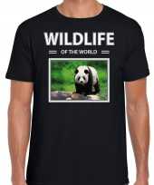 Panda foto t-shirt zwart voor heren wildlife of the world cadeau shirt pandas liefhebber kopen 10264310