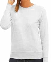 Sweater sweatshirt trui grijs met ronde hals en raglan mouwen voor dames kopen