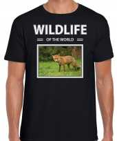 Vos foto t-shirt zwart voor heren wildlife of the world cadeau shirt vossen liefhebber kopen