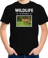 Vos foto t-shirt zwart voor kinderen wildlife of the world cadeau shirt vossen liefhebber kopen 10266509